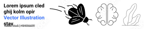 Nature, biology, abstract design, human mind, thinking, creativity. a flying insect, a brain and abstract plant outlines. Nature and biology merged visually with creativity and thinking concepts