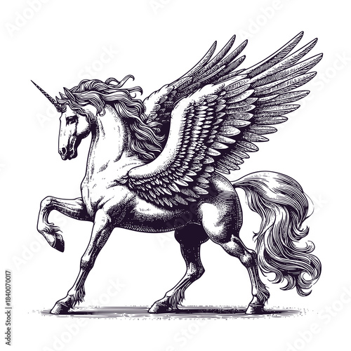 winged unicorn