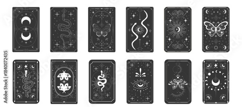 Tarot card frame spiritual esoteric reverse border magic sacred cover card. Mystic elements moon, sun, magic moth, snake fantasy sign.
