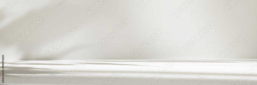 Fototapeta premium Abstract white color studio background for product presentation. Empty room with shadows of window and flowers and plant leaves . 3d grey room with copy space. Summer concept. Blurred backdrop. Banner