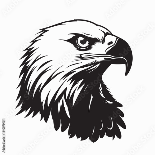 Majestic Eagle Head Vector Design on White Background