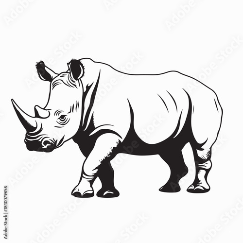 Majestic Rhino Standing Proud Vector Illustration On White Background