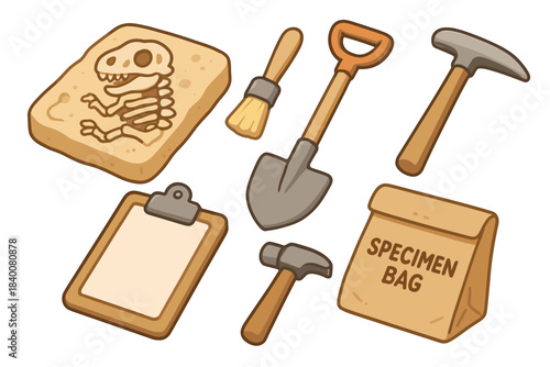 Cartoon archaeology tools collection with fossil and specimen bag