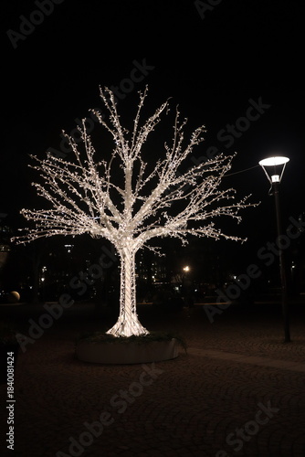 Stockholm Christmas Lights Reindeer and Tree Illuminations