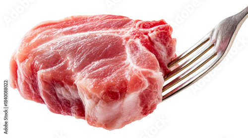 Close up of uncooked pork steak impaled on a metal fork ready for culinary preparation and meal ideas