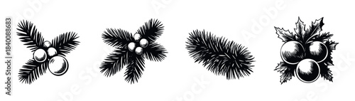 Traditional festive evergreen branch with berries and pinecones, perfect for holiday and winter season promotions and greetings.