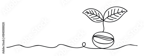Minimalist line drawing of a coffee bean sprouting two leaves, representing growth and new beginnings, perfect for organic branding and natural product themes.