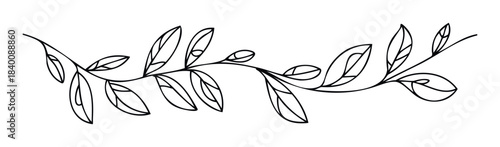 Elegant thin black line drawing of a delicate branch with simple leaves, perfect for sophisticated floral accents and natural embellishments in graphic projects.