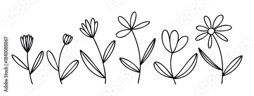Delicate line drawings of various simple flowers and stems in black outline style, perfect for natural themes, organic branding, and botanical graphics.
