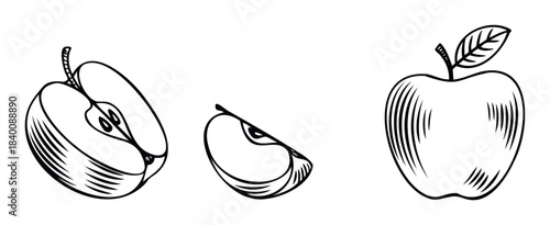 Black and white engraved style whole apple half apple and slice with leaf suggesting fresh fruit and healthy eating for dietary and food related promotions