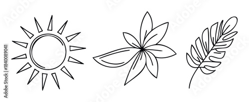 Simple line drawings of a sun, star anise spice, and a tropical leaf are perfect for summer themes, culinary projects, or natural design inspiration.