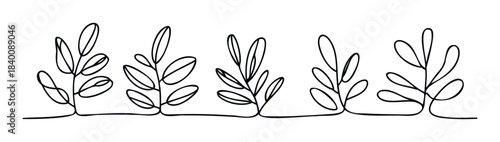 Minimalist line art depicts organic plant sprigs with delicate leaves in a continuous flow, perfect for elegant branding and natural themed visuals.