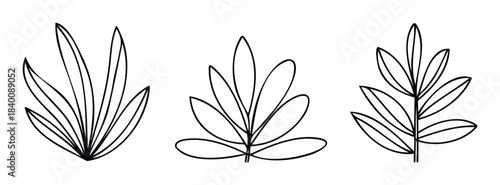 Set of three simple outline drawings of abstract leafy branches and plants, perfect for naturethemed projects and minimalist decor.