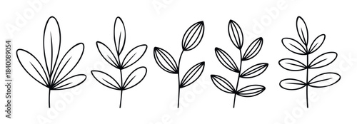 Collection of five minimalist line drawings of botanical sprigs and leaves, perfect for natural themed design projects, branding, and editorial use.