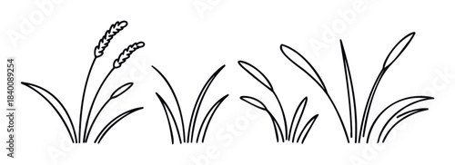 Simple black outlines of different grass clusters and wheat stalks create organic decorative accents for nature and agriculture themes, suitable for graphic design projects and seasonal