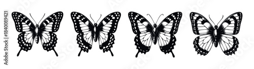 Collection of four detailed black and white butterfly silhouettes, perfect for print and web applications needing entomological or natural themes.