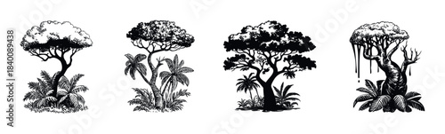 Collection of striking black and white ink drawings featuring diverse jungle trees and foliage for naturethemed graphics and editorial use