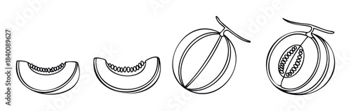 Line art depicts sliced and whole cantaloupe melons with seeds, perfect for healthy eating and foodrelated concepts.