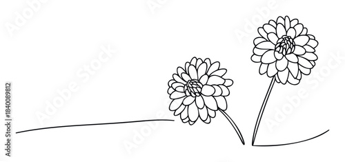 Minimalist line drawing of two dahlia flowers on stems against a plain background, perfect for elegant floral graphics and naturethemed projects