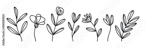 Line art botanical collection featuring minimalist floral stems and leafy branches for decorative graphic applications and naturethemed projects