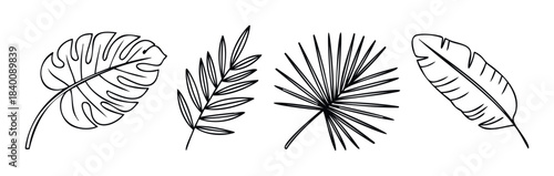Collection of four black and white line drawings of tropical palm leaves and foliage for use in travel posters, summer promotions, and botanical decor.