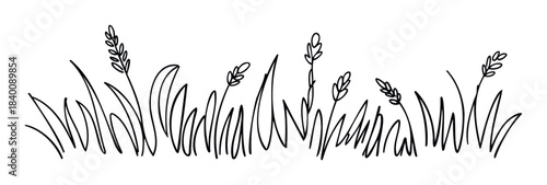 Simple linear drawing of delicate grass stalks with subtle seed heads, perfect for naturethemed invitations, greeting cards, or organic branding projects.