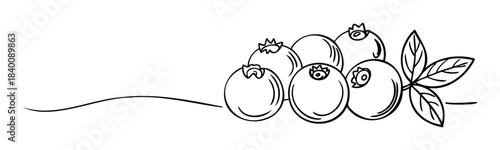 Line art composition of fresh blueberries with leaves and a decorative swirl, perfect for food related branding and healthy lifestyle concepts.