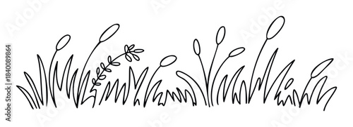 Simple line drawing of tall grass with oval seed heads and a small sprig of leaves, perfect for naturethemed graphics and organic background applications