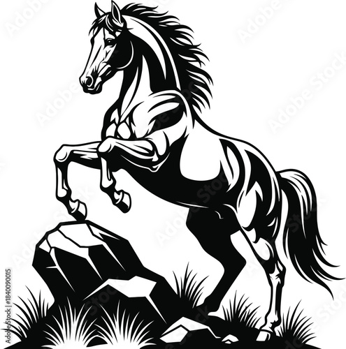 Rearing horse wild stallion illustration