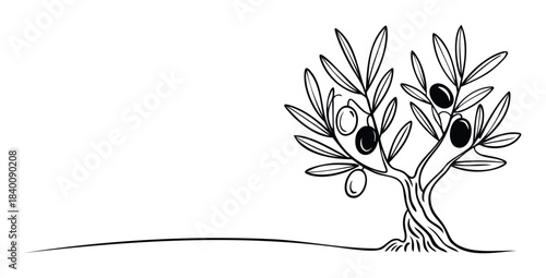 Stylized black and white olive tree with olives and leaves on a white background symbolizing nature and healthy food, perfect for branding and organic products.
