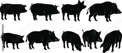 Silhouette of a herd of wild warthogs foraging