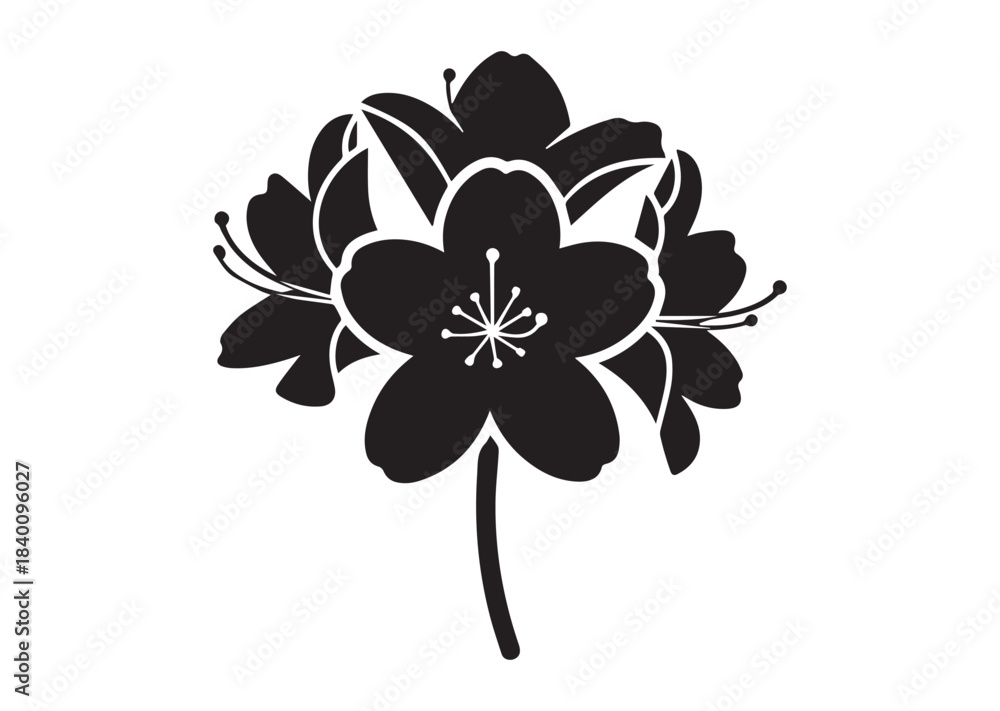 Obraz premium Azalea flower icon, Azalea flower Black silhouette vector
