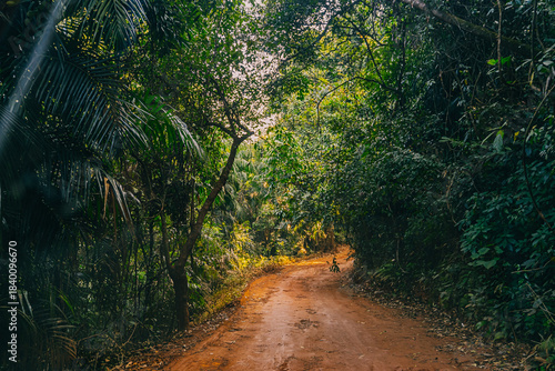 Distant waterfall framed by lush tropical vegetation and mountain cliffs. A scenic natural landscape showcasing India’s jungle beauty and dramatic terrain.