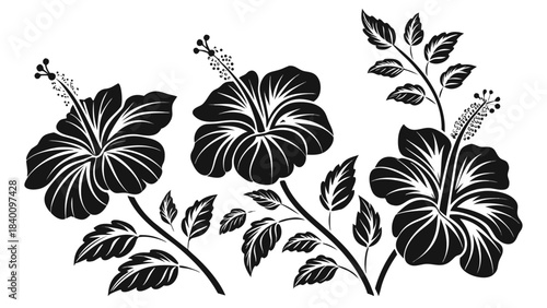 Vector illustration three stylized black and white hibiscus flowers with leaves