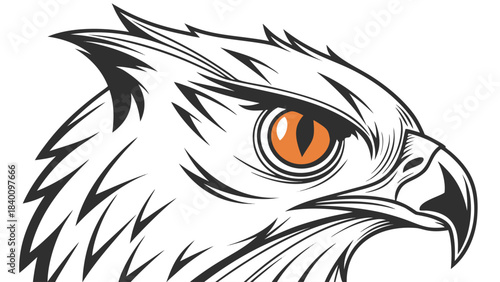 Vector illustration detailed illustration of a hawks head in profile, featuring sharp lines and an orange eye