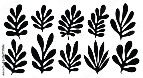 Black Abstract Botanical Leaf Shapes on Beige Background