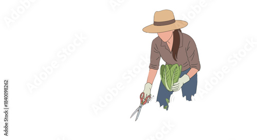 Woman Harvesting Fresh Greens in a Garden, A Minimalist Illustration with Style