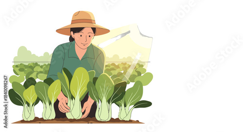 Woman Harvesting Fresh Bok Choy in Her Lush Field Under Warm, Sunny Sunlight