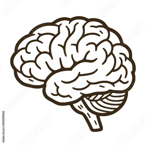 human brain vector illustration