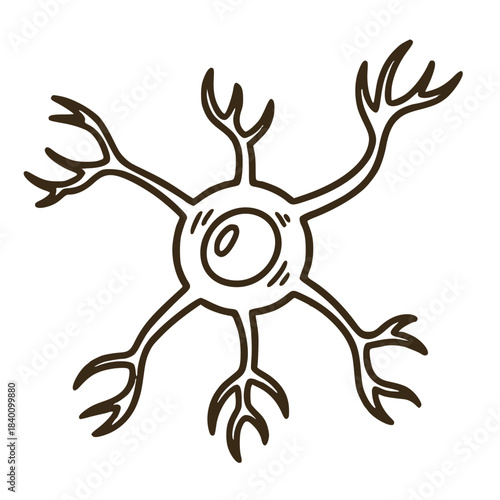 Detailed neuron cell structure illustration for science