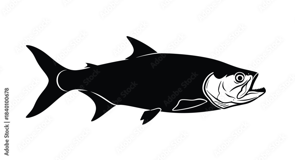 Fototapeta premium Black silhouette of a tarpon fish on white background