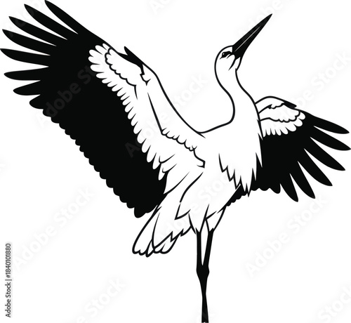 Crane Bird Vector Illustration