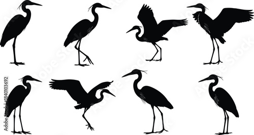 Heron silhouette collection, bird pose, long neck, wing spread, nature icon, cad drawing flat vector illustration, black shapes, wildlife design, flight motion
