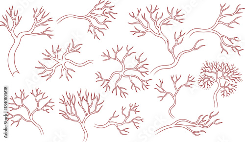 Vector line art set of bare, stylized tree branches and root systems with fine red lines, resembling natural silhouettes or abstract coral and veins on white.