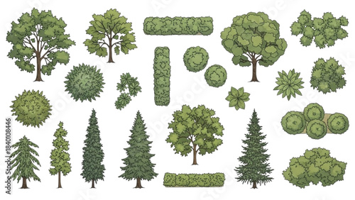 Illustrated Set of Tree and Shrub Symbols for Landscape Design Plans.
