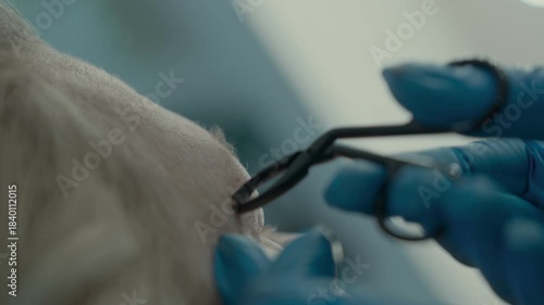 Close-up of the eyebrow master's hands plucking eyebrows in a beauty salon.