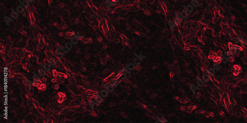 Deep red abstract background with organic, undulating fibrous textures and scattered bright red luminous spots, microscopic cellular detail