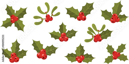 christmas holly background