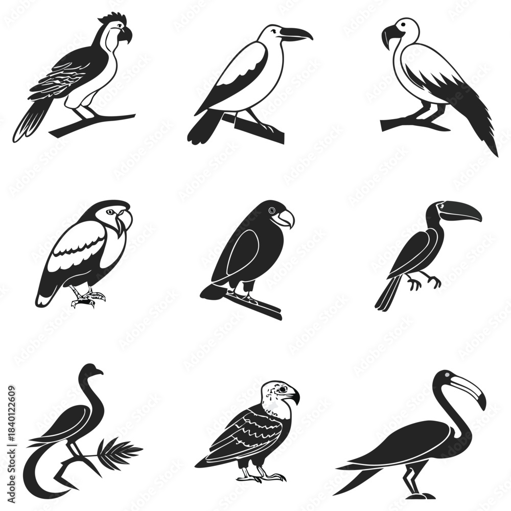 Fototapeta premium Set of vector black and white bird illustrations featuring various wild species, including a parrot, a raven, a crane, a different type of parrot, and a toucan