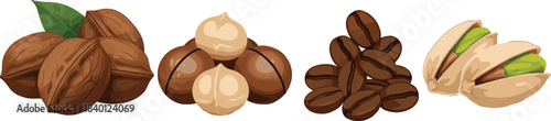 Realistic illustrations of walnuts, macadamia nuts, coffee beans, and pistachios for food design, packaging, nutrition graphics, botanical projects, and digital artwork